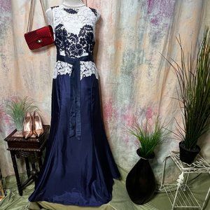 📌Tahari Arthur S Levine Stunning Mother of the Bride - Ball - Evening Dress